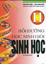 Bồi dưỡng học sinh giỏi sinh học 11